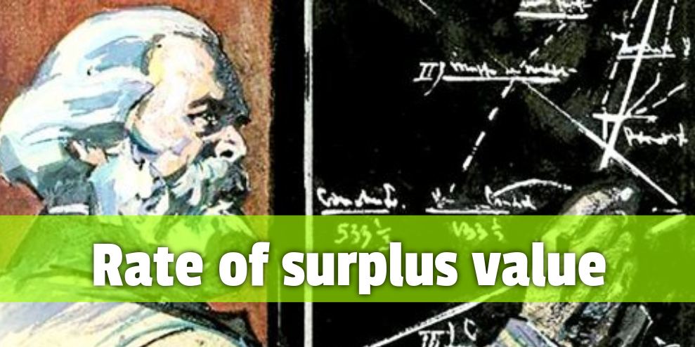 Rate of surplus value
